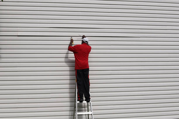 Best Siding Painting and Refinishing  in La Grange, NC