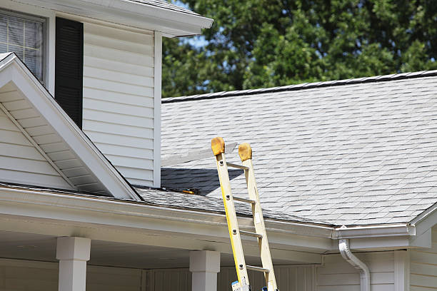 Affordable Siding Repair and Maintenance Services in La Grange, NC